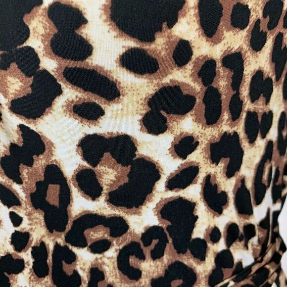 Spense Animal Print Dress - Picture 3 of 5